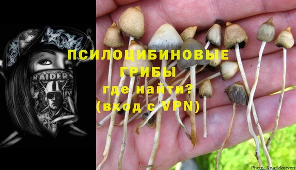 гашик Волоколамск