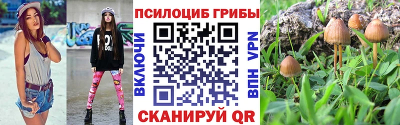 Галлюциногенные грибы Psilocybe  Купить  Киреевск 